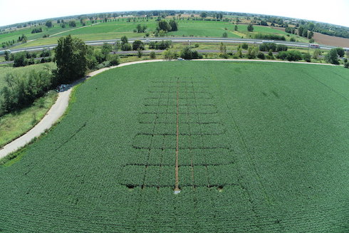 campo-prova-agricola-2000-art-dic-2021-rubrica-sperimentazione-e-divulgazione-fonte-agricola-2000.jpg